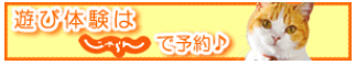 レンタル着物|奈良|着物レンタル|Rental Kimono Nara|ゆう紗奈良|yuusa.jp|着付け|ヘアーセット