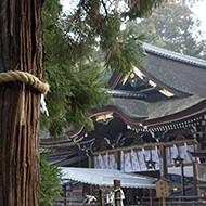 大神神社結婚式|三輪神社結婚式|春日大社結婚式|結婚式モニター募集|奈良|婚礼衣装|結婚式奈良|和婚式奈良|婚礼着付け出張|レンタル着物ゆう紗