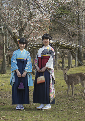 卒業袴レンタル|着付|レンタル着物|ゆう紗|奈良